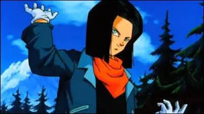 Quel est ce cyborg ?