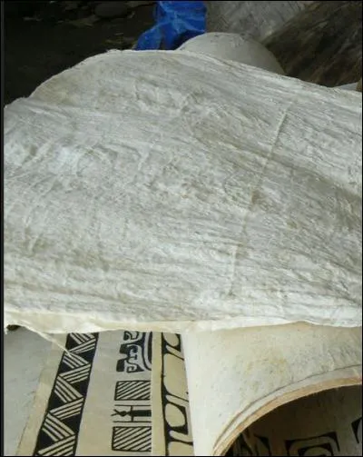 Le mûrier de Chine, "aute", donne un tapa d'une teinte blanche.