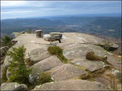 Le 1er est la première en musique.
On dit le 2e quand on n'est pas d'accord.
Le tout est un sommet :