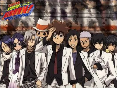 Quel groupe a composé le deuxième opening de l'anime "Katekyō Hitman Reborn", intitulé "Boys and Girls" ?