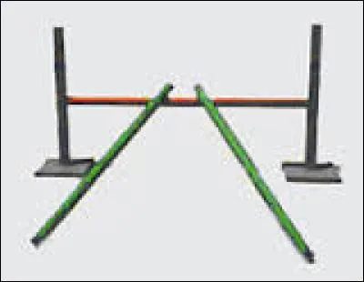 Que faut-il faire pour sauter un vertical au galop ?