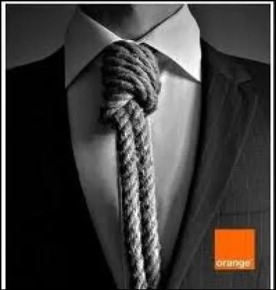 En quelle année la société "France Télécom" est-elle officiellement devenue "Orange" ?