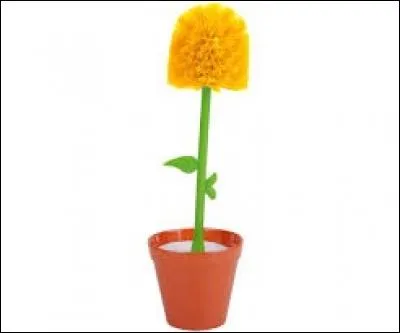 Parmi ces fleurs, désignez celle que l'on ne trouve pas en couleur orange :