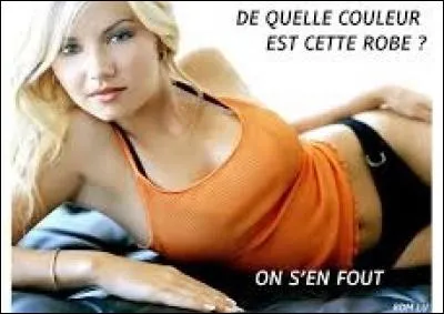 Parmi ces pays, lequel ne possède pas d'orange sur son drapeau ?