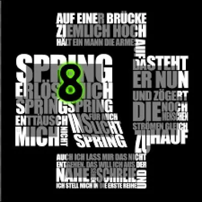 8 - "Sping" de Rammstein. Rammstein est un groupe de heavy metal venant de l'Allemagne. "Spring" est une chanson concernant un homme, au bord d'un pont. De combien de membres ce groupe est-il constitué ?