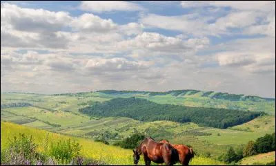 Europe Orientale - le Mouvement unioniste - la région de Transnistrie - un pays sous la sphère d'influence russe