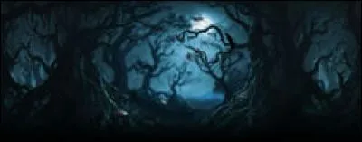 Les élèves de Poudlard ont l'interdiction de se rendre dans...