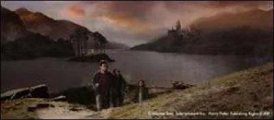 Qu'est-ce qui abrite toutes les créatures aquatiques de Poudlard ?