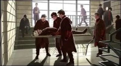 Comment se nomme l'hôpital des sorciers ?