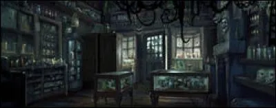 Qui sont les propriétaires de cette boutique ?