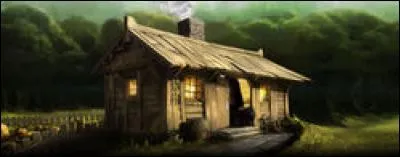 Où se trouve la cabane d'Hagrid ?