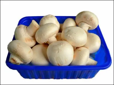 Qu'y a-t-il dans la barquette bleue ?