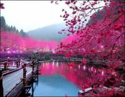 Quelle est cette poésie ?
« [...] La belle rose
Charmant décor
Où l'ombre encor'
Tremble et se pose.
Le ru d'argent
Vif ou morose
Qui court ... arrose
Les prés changeants.
D'une main sûre
Depuis longtemps
Monsieur printemps
Peint la nature. »