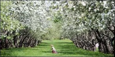 Quelle est cette poésie ?
« Pâquerette, pâquerette, 
Il y a des gouttes d'eau
Sur ta collerette
Et tu plies un peu le dos
Pâquerette, pâquerette, 
Le beau soleil printanier
Viendra-t-il les essuyer ? [...] »