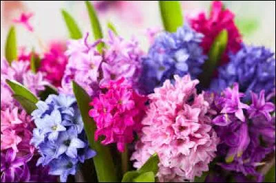 Quelle est cette poésie ?
« Le vent de Mars est insouciant : 
Il joue aux billes avec les gouttes
Parfois même il les sèche toutes
Sans savoir que c'est du diamant.
Le vent de Mars est insouciant : 
Quand il bouscule les jonquilles
Comme s'il s'agissait de quilles
Il gâche l'or qui est dedans. »