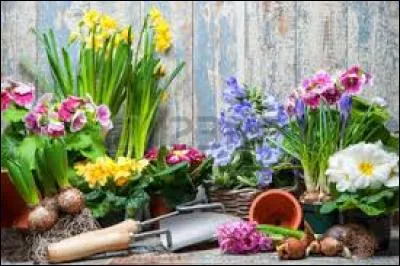 Quelle est cette poésie ?
« J'ai vu 3 chats bleus, à la queue leu-leu
Marchant sur un fil... Poisson d'avril ! 
J'ai vu un chameau faire du vélo
Tout autour d'une île... Poisson d'avril ! 
J'ai vu un gros ver en hélicoptère
Traversant la ville... Poisson d'avril ! 
J'ai vu une vache avec des moustaches
Et de très longs cils... Poisson d'avril ! 
J'ai vu 10 corbeaux assis sur le dos [...] »