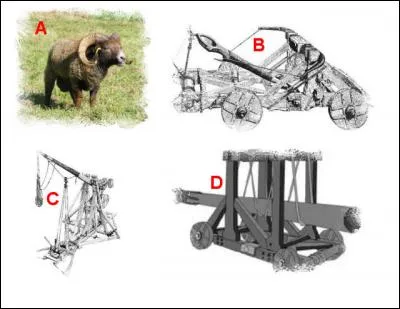 L'illustration nommée « A » est en lien étroit avec l'illustration représentée en : (Indice : Moyen-Âge)