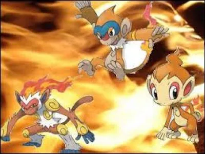 Comment se nommnt les évolution de Ouisticram ?