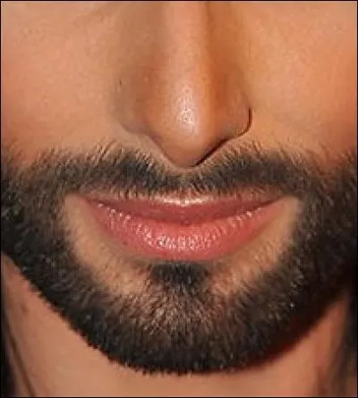 À qui appartient ce bout de visage ?