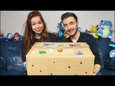 Quelles sont ses activités ?