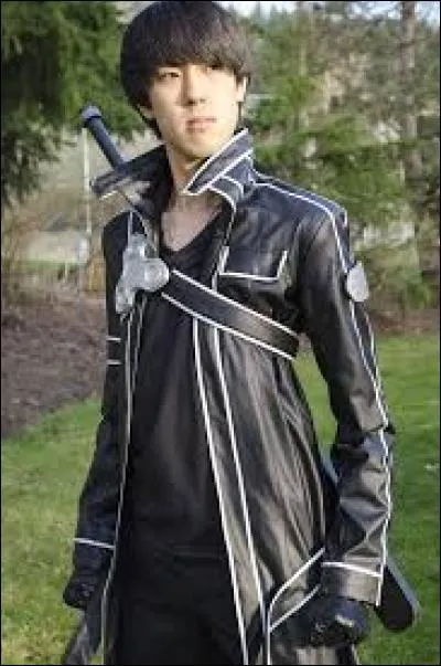 De quel manga fait-il partie ?