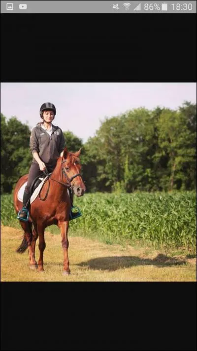 Comment s'appelle ce cheval ?