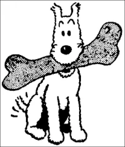 Comment le maître de Milou s'appelle-t-il ?