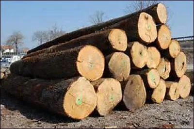 Que sont les mairains, anciennement merriens ou encore mairiens ?