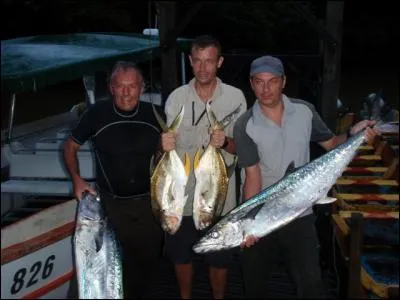 C'est un protozoaire fossile !