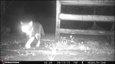 Stratus ou cumulo-nimbus !