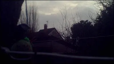 En âge de se marier !