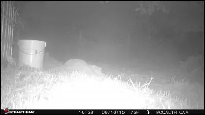 Histoire de coloris !