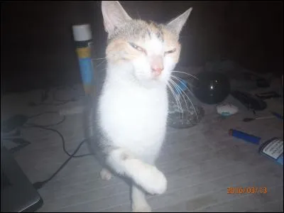 Particule constituant le noyau d'un atome !