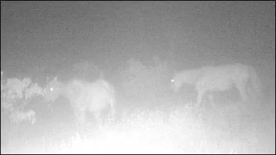 Action de mettre des bâtons dans les roues !