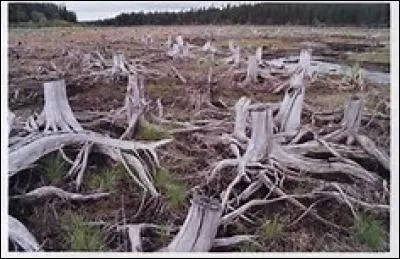 Elle n'épargne rien.