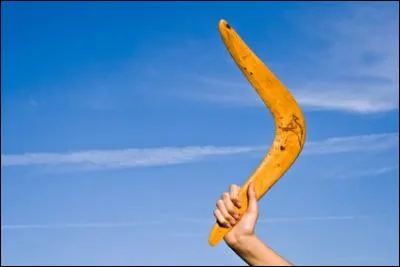 Quel est cet objet ?