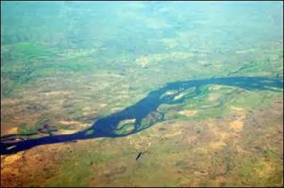 Lequel de ces grands fleuves d'Afrique prend sa source en Zambie ?