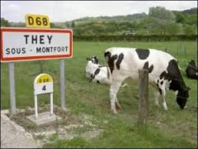 Nous terminons notre balade en Lorraine, à They-sous-Montfort. Nous sommes dans l'arrondissement de Neufchâteau, donc dans le département ...