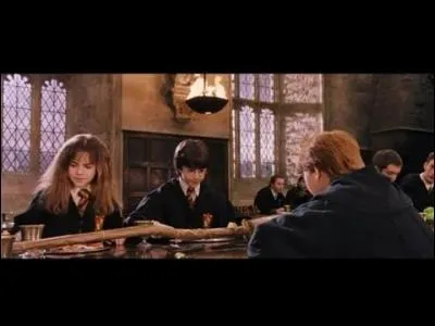 Qui dit : "C'est pas n'importe quel balai, c'est un Nimbus 2000." ?