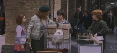 Qui dit : "Pas là où je vais, je te le garantis." ?