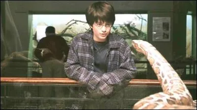 Qui dit : "La vitre. Où est passée la vitre ?" ?