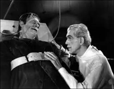 D'après l'oeuvre littéraire "Frankenstein ou le Prométhée moderne", écrite par Mary Shelley en 1818, de quelle nationalité est ce fameux docteur Frankenstein ?