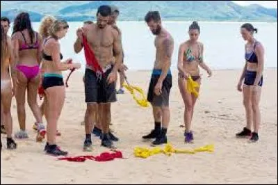 Quel pays a accueilli l'&eacute;dition 2016 de "Koh-Lanta" ?