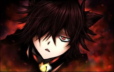 Alice poss&egrave;de :