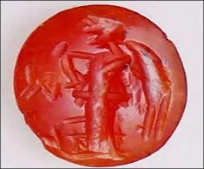 Roche quartzique de belle couleur rouge-orangé, utilisée en joaillerie.