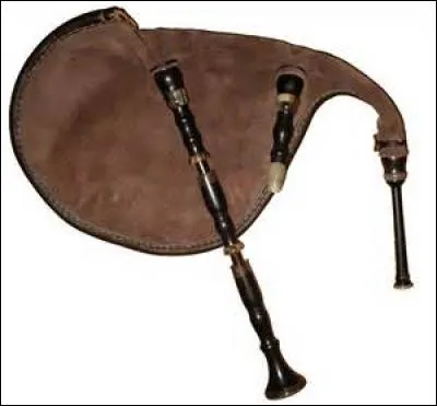 Une poche, un hautbois et des anches pour souffler dans cet instrument.