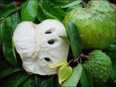 Il est temps de prendre un reconstituant. Je vous offre un jus de fruit plutôt délicat. Quel est-il ?