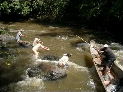Sachant que cette rivière est un affluent du fleuve qui sépare la Guyane française du Suriname, identifiez une ville !