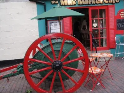 Sachant que cette photo fut prise en Irlande, trouvez le nom d'un interprète français !