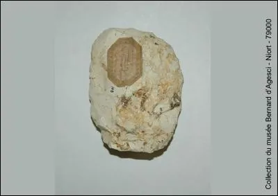 Quel est le nom de ce type de silex ?